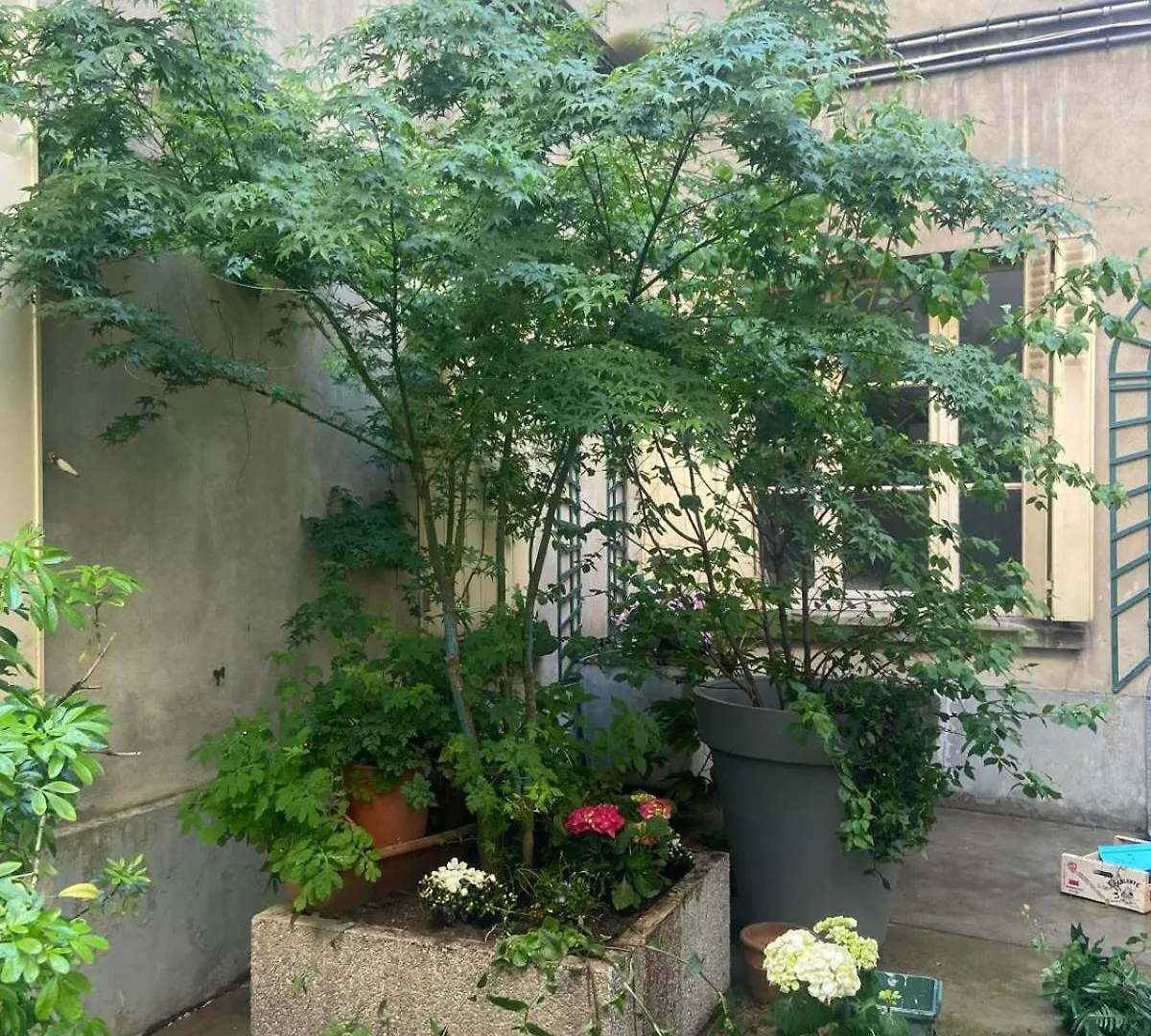 Apartment Echappee Sur Les Toits